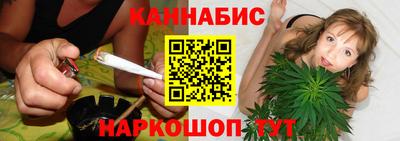 бошки Гатчина