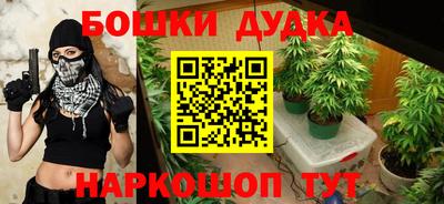 кокс Гай