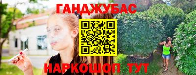 бошки Гатчина