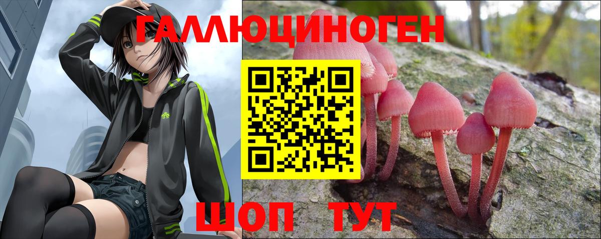 Галлюциногенные грибы Psilocybe Сергиев Посад